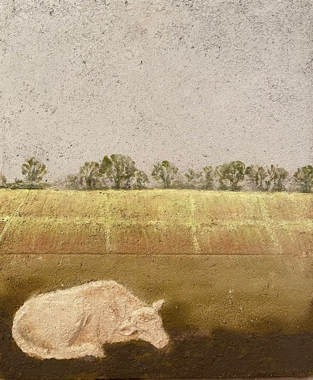 Vache endormie — image 1